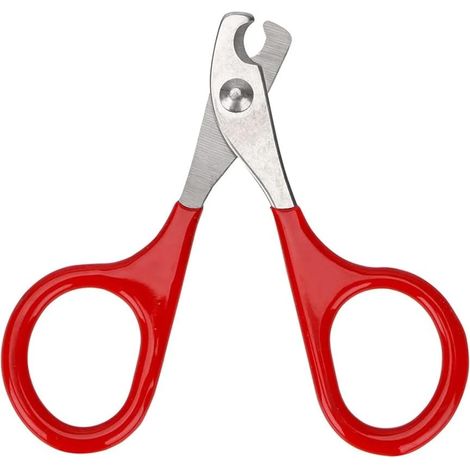 Coupe-griffes pour animaux, outils de toilettage des griffes, coupe-griffes pour chiens, coupe-griffes pour chats, ciseaux de nettoyage (1/5)