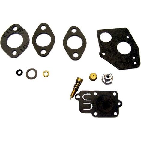 Kit membrane + joint de carburateur pour BRIGGS ET STRATTON (1/3)