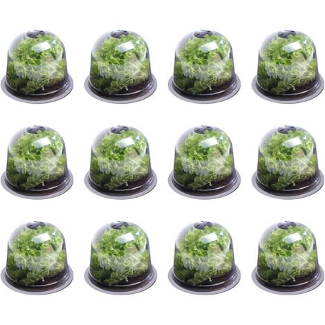 Idmarket – Lot de 12 cloches à salades en plastique PP transparent – 25,5 cm diamètre x 20 cm hauteur – Aérateurs réglables pour protection des plants (1/6)