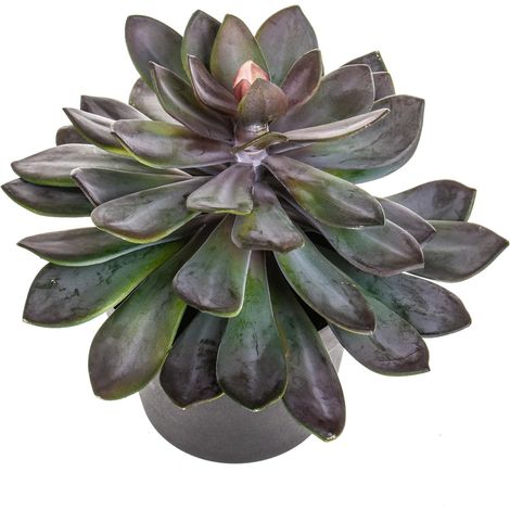 Succulent Artificiale con Vaso Altezza 28 cm Verde