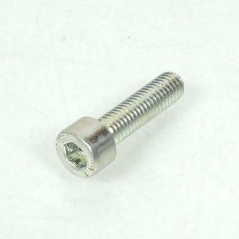 Innensechskantschraube M8x1.25 30mm für Motorrad Aprilia 50 RS (1/5)