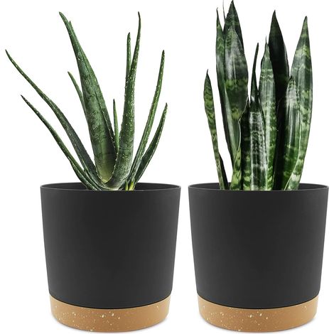 Lot de 2 Pot de Fleur Interieur,20.3cm Cache Pot Plante,Plastique Indoor Flower Pots avec Trous de Drainage et Base Amovible(Noir 20.3cm) (1/5)