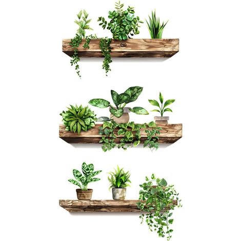 Stickers muraux - stickers 3D plantes vertes, plantes en pot suspendues et lierre, décoration murale autocollante pour cuisine, salon et chambre (1/4)