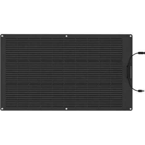 EcoFlow 100W - Solar Panel (1/3)