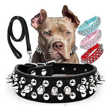 Collier pour chien en cuir clouté à pointes avec laisse, 2,5 x 51 cm, collier pour chien en cuir PU à rivets pour pitbull, collier pour chat en cuir résistant à pointes pour petits chiens (1/5)