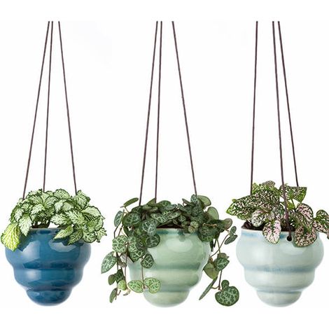 Burgon & Ball Hanging Pot Baby Bombino Trio