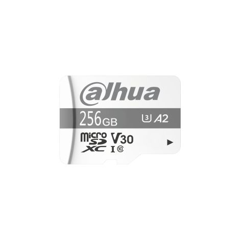 TF-P100-256G - Micro SD card 256 GB