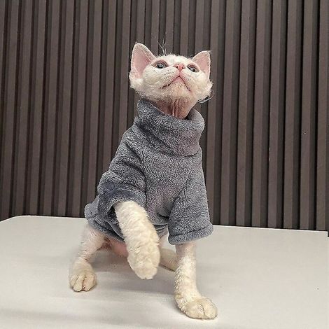 Pullover chien chat Sphynx hiver chaud épaissi, mode pull manteau douillet pour petits chiens, gris dragon taille M, tenue confortable maison. (1/5)