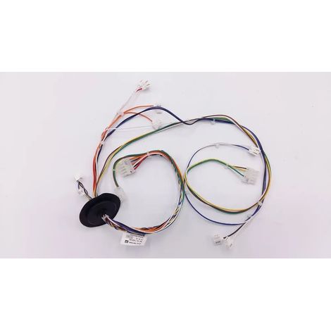 Remeha  Mazo de cables 24V, S100605