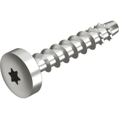 OBO Bettermann Ancoraggio a testa tonda con testa bombata 6x40mm acciaio zincato elettroliticamente, 3498105