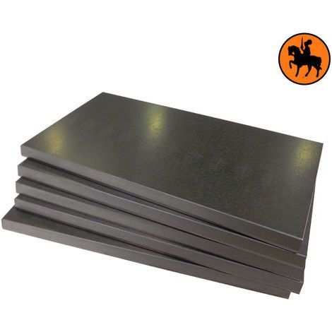 Ensemble de 6 Aubes de Carbone pour Rietschle TLD 12513455 (1/5)