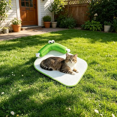 Générique Tapis Rafraichissant Chat Tapis Rafraîchissant pour Animaux de Compagnie, Coussin Auto-refroidissant pour Petit Animal de Compagnie, Idéal pour Les Animaux de Compagnie en été M (1/4)