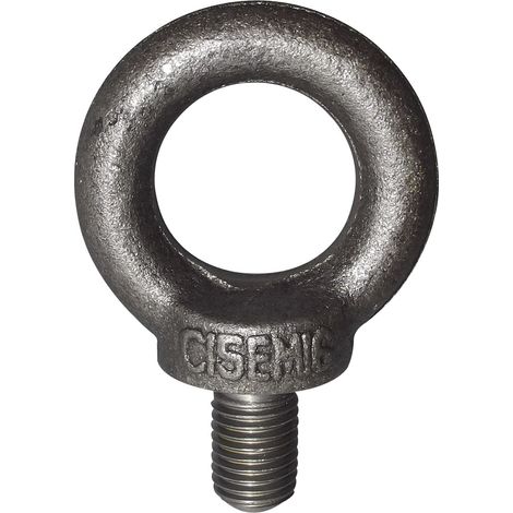 Ringschraube M12 DIN580 Augenschraube blank mit CE Kennzeichnung Stahl verzinkt