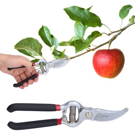 Sécateur à coupe franche (bypass), coupe-branches manuel pour jardinage et plantes (1/5)