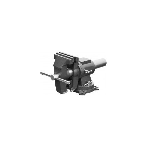 Mehrfachbacken-Werkzeugkasten Mehrfachpositionen Ref. Breite Backen 125 mm Öffnung 130 mm Gewicht 18,5 kg