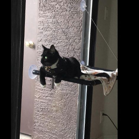 Hamac de fenêtre pour chat, avec ventouses pour un gain de place. (1/4)
