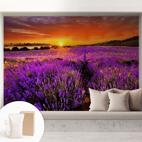 Papier peint intissé décoratif avec colle pour salon chambre et bureau Installation rapide Coucher de soleil lavande 208x146 cm (1/5)