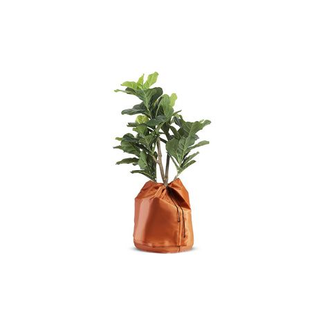 Sac de protection hivernale pour arbre – Anti UV – Protection du gel – Version 2023-Grand format + Petit format (1/4)