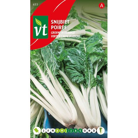 Poirée Verte à Carde Blanche - Ca. 4 gr (Livraison Gratuite) (1/2)