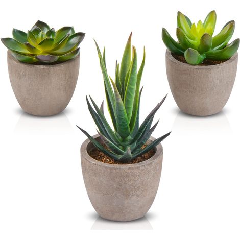 Lot de 3 Petites Plantes Succulentes Artificielles Intérieur en Pot (1/5)