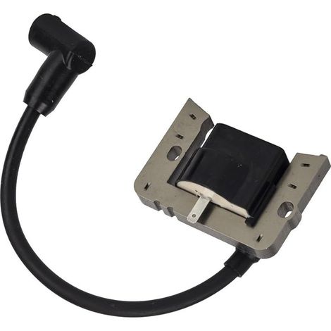 Bobine d'allumage Solide pour Tecumseh 35135 35135A 35135B (1/5)