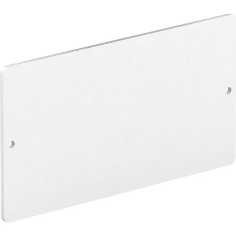 Plaque de révision MEPA pour bâti-support WC à chasse encastrée 6-9 l, blanc (1/2)