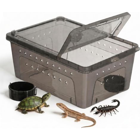 Caja transparente para reptiles con dispensador de comida (1/5)
