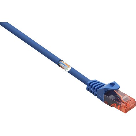 Renkforce RF-5043874 RJ45 Patchkabel CAT 6 U/UTP 2.00 m Blau mit Rastnasenschutz, Halogenfrei 1 St. (1/4)