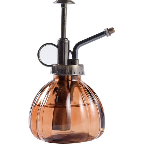 Vaporisateur pour plantes, flacon pulvérisateur décoratif en verre style vintage avec pompe intégrée, petit arrosoir (1/5)
