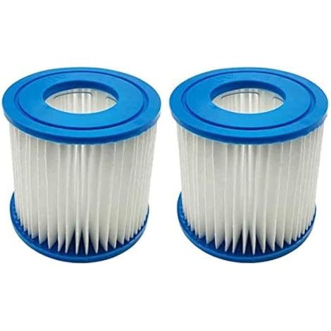 Lot de 2 cartouches filtrantes pour Bestway Type VII et D, compatibles avec cartouche filtrante Intex Type D Hot Spring Spa Piscines (1/5)