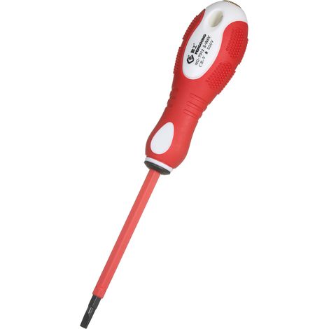 500-V-isolierter Schraubendreher, 2-in-1, magnetischer Schlitz- und Wendekreuz-Elektropointer, Mehrzweckschraubendreher für Stromkreisprüfung