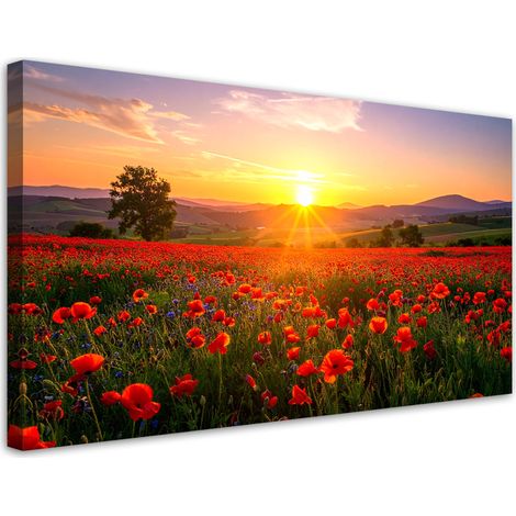 Tableau déco Coquelicots dans la prairie coucher du soleil 100x50 (1/4)