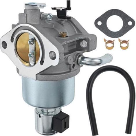 594593 594605 Carburateur pour BS 591731 91731 796109 594603 591734 17,5 CV 14,5 CV 15 CV 590400 796078 498811 794161 795477 594591 (1/5)