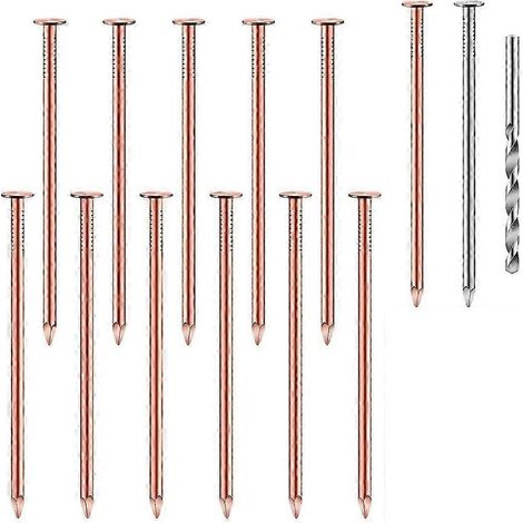 Kit de 14 clous en cuivre pour l'abattage d'arbres, 8,9 cm (3,5 pouces) en vrac, pointes pour l'enlèvement de souches. (1/5)