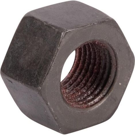 Nut SPICER DANA 006254381