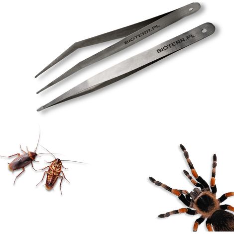 SET pinzette morbide dritte + curve 12cm Bioterr (1/5)