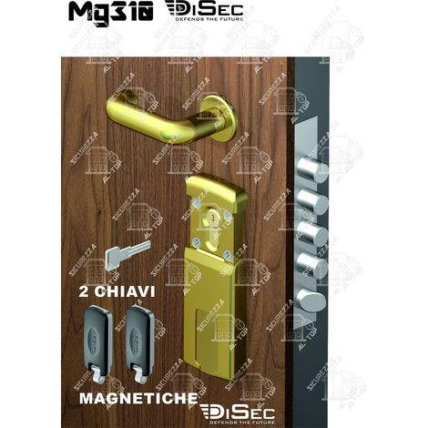 Defender Magnetico MG310 Disec F.sagom Mm 110X55 Ottone Lucido (1/3)