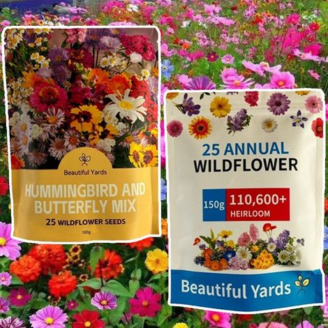 Graines de Fleurs Variées 2-Pack 100 g + 150 g – Semis Simple, Pour Pelouse, Parterres et Bordures (1/5)