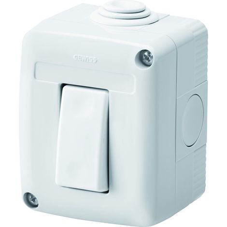 GEWISS - GW27801DY GW27801DY Contenitore Completo Apparecchi Serie System Protetto, Con Interruttore Unipolare 16 AX, IP40, Grigio Ral 7035