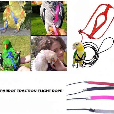 Harnais et laisse pour perroquet et oiseau - Sangles de traction réglables pour l'extérieur - Corde d'entraînement anti-morsure réglable (L) (1/4)