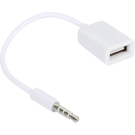 Câble convertisseur audio AUX mâle 3,5 mm pour voiture MP3 (1/5)