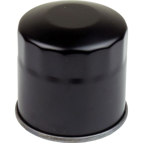 Filtro de aceite Athena HF202 para Honda VT/VF/VN 750 - Calidad superior (1/2)