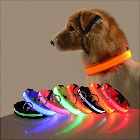 orange lumière bleue 2pcs LED collier lumineux chien longueur de charge USB réglable-lumière (1/3)
