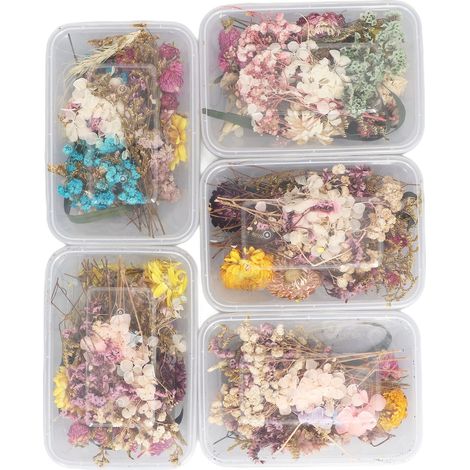 DIY-Set für konservierte Blumen (1/5)