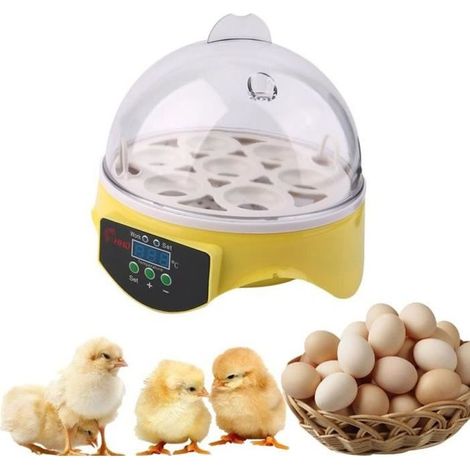 Couveuse Mini 7 œufs 20W Température réglable 18-45℃ (1/4)