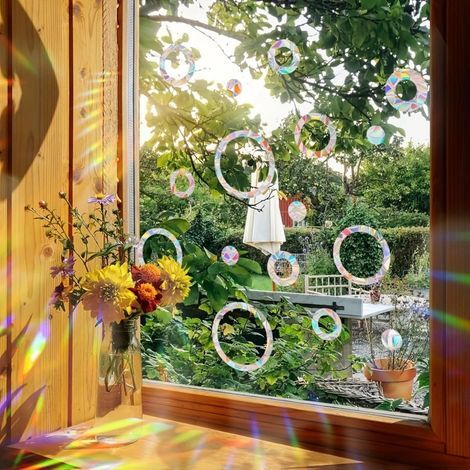 Ensemble de 16 autocollants anti-collision circulaires et colorés pour vitres de voiture, avec protection contre les oiseaux. (1/5)