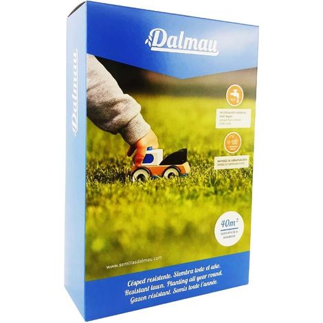 Semilla Césped CT7 - Lolium Perenne 1 kg (1/3)