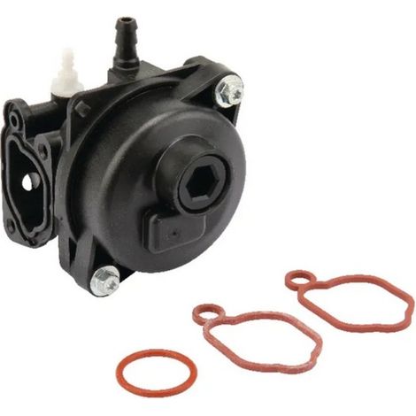 Carburateur Briggs et Stratton - 84001029 (1/2)