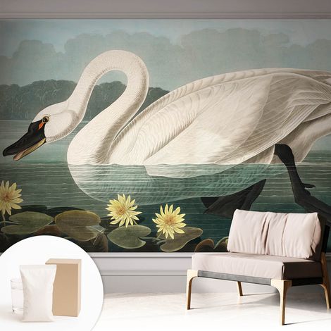 Papier peint intissé avec imprimé pour décoration intérieure pour rénovation a motif - Colle incluse gratuite Cygne et nénuphars 312x219 cm (1/5)