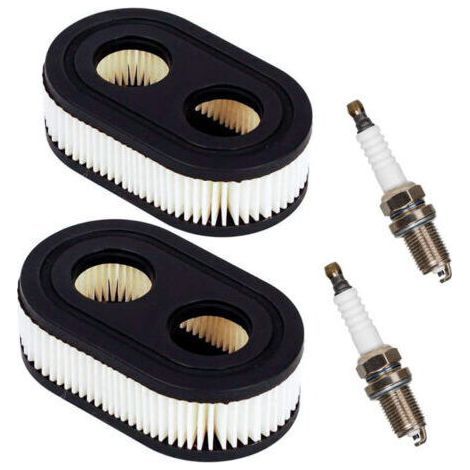 Oil or air filter for internal combustion engine. Engine parts. Lawnmower air filter with 2 spark plugs.